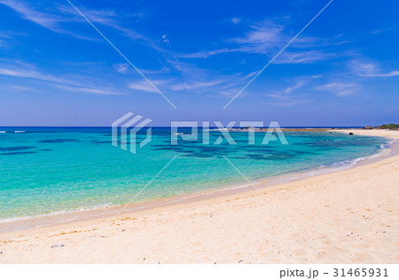 土盛海岸 31465931