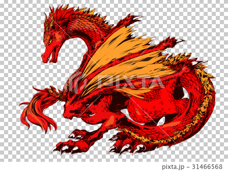 Western Dragon 31466568