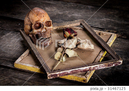 still life with human skull and roses dried still life with human skull and roses dried 31467125
