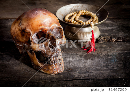 Human skull on old wood background, Human skull on old wood background, 31467299