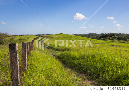 景色 風景 牧草地 31468311