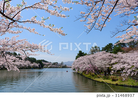 岩手 盛岡 春の高松公園 岩手 盛岡 春の高松公園 31468937