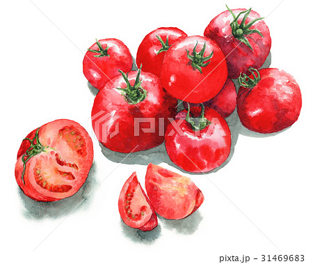 アナログ水彩完熟トマトの山とカットしたトマトのイラスト素材