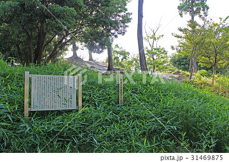 別所城山第一・第二号墳/奈良県香芝市 別所城山第一・第二号墳/奈良県香芝市 31469875