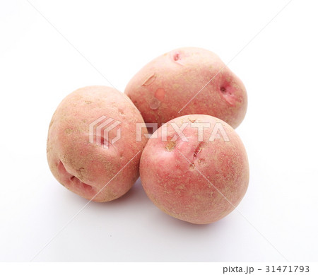 馬鈴薯 31471793