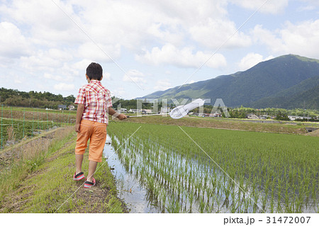 田畑で遊ぶ子供 31472007