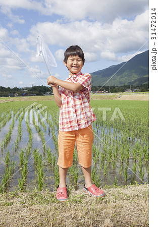 田畑で遊ぶ子供 31472014