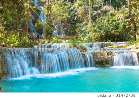 Waterfall in forest, names " Tat Kuang Si Waterfall in forest, names " Tat Kuang Si 31472739