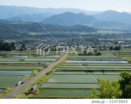 田園風景 31473643