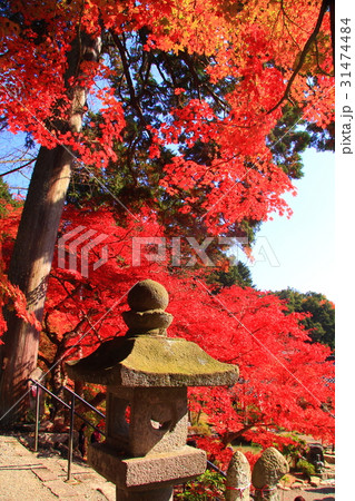 大国寺（兵庫県　篠山市）境内の紅葉 31474484