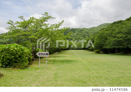 稲取高原 31474586