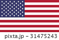 American flag illustration 31475243
