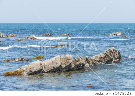 平磯 白亜紀層 平磯 白亜紀層 31475523