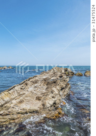 平磯 白亜紀層 平磯 白亜紀層 31475524