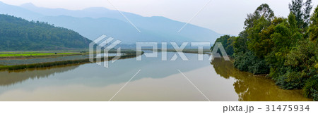 Consequences of the rainy season 31475934