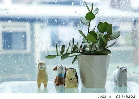 雨の日 土台 フラワーポット 31476252