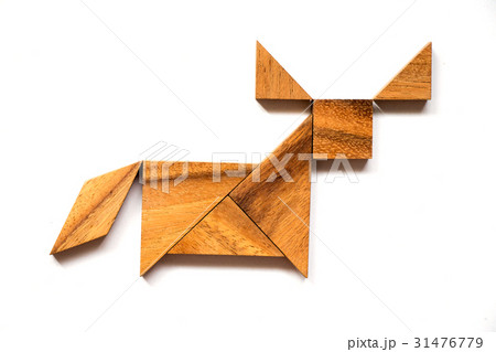 Wooden tangram puzzle in buffalo shape 31476779