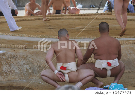 学生相撲 31477473