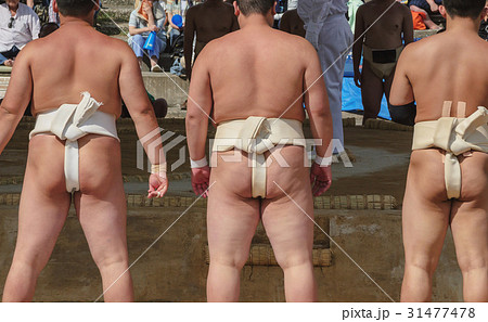 学生相撲 31477478