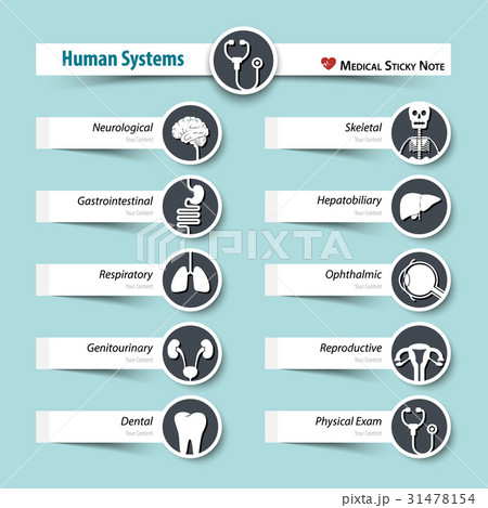 Human Systems . Medical sticky note style . 31478154