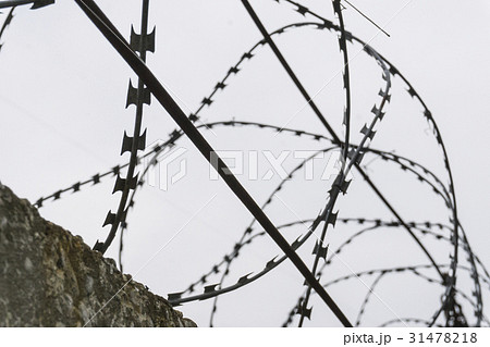 Barbed wire on dark fence. Silhouette photo 31478218