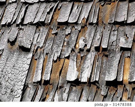 Texture of the old wooden chips Texture of the old wooden chips 31478388