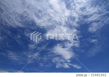爽やかな初夏の空 31481301