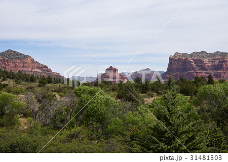 セドナの岩山風景 31481303