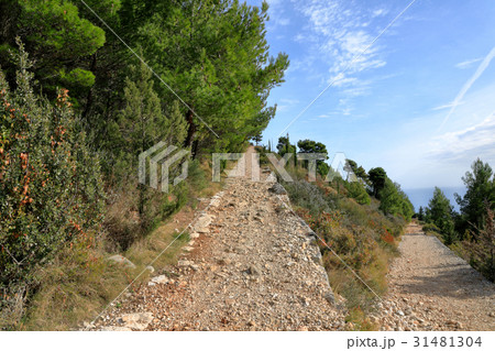 ドゥブロヴニク　スルジ山登山道 31481304
