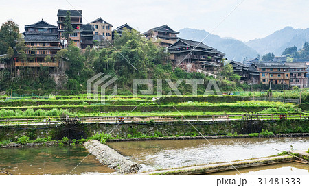 terraced gardens and houses in Chengyang village terraced gardens and houses in Chengyang village 31481333
