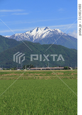 初夏の爺ヶ岳 種まき爺さんの雪形 初夏の爺ヶ岳 種まき爺さんの雪形 31481480