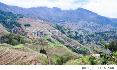 view of terraced grounds in Dazhai country view of terraced grounds in Dazhai country 31481560
