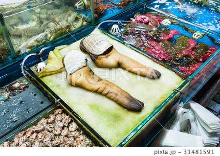 geoduck clams in fish market in Guangzhou city 31481591