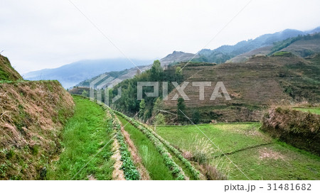 terraced fields of Tiantouzhai village 31481682
