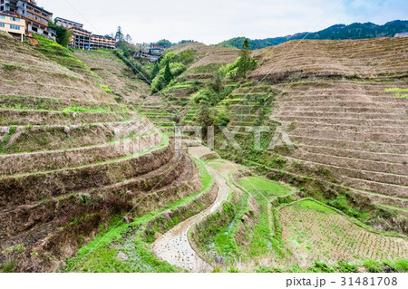 view of terraced area in Dazhai village in country view of terraced area in Dazhai village in country 31481708