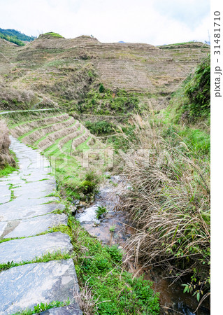 water flow and path between terraced hills 31481710
