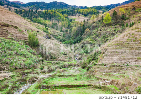 view of terraced hills and creek in Dazhai village view of terraced hills and creek in Dazhai village 31481712