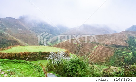 above view of terraced gardens on hills above view of terraced gardens on hills 31481850