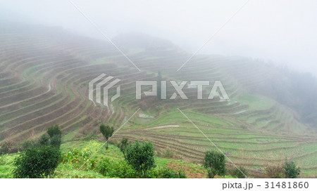 view of rice terraced fields in haze view of rice terraced fields in haze 31481860