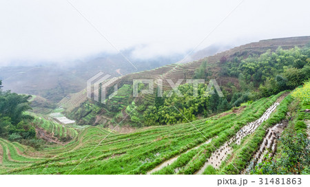 view of wet terraced rice beds from Tiantouzhai view of wet terraced rice beds from Tiantouzhai 31481863