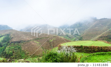 above view of terraced grounds on hills above view of terraced grounds on hills 31481886