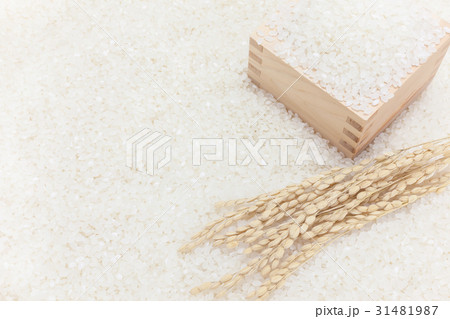 白米と稲穂と枡 白米と稲穂と枡 31481987