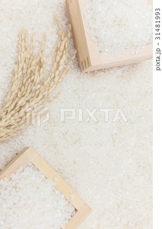 白米と稲穂と枡 白米と稲穂と枡 31481993