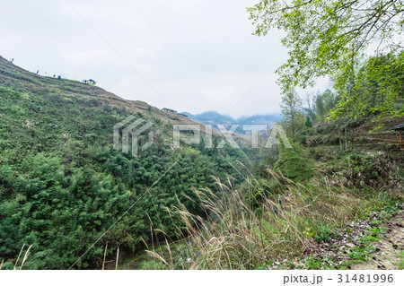 green hills around Dazhai village green hills around Dazhai village 31481996