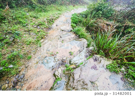 wet path on terraced hill in Dazhai wet path on terraced hill in Dazhai 31482001