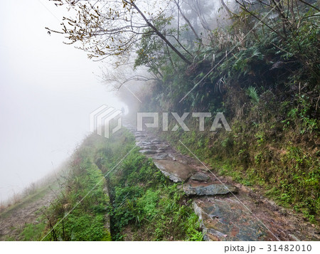 wet path on hill slope in rainy misty spring day wet path on hill slope in rainy misty spring day 31482010
