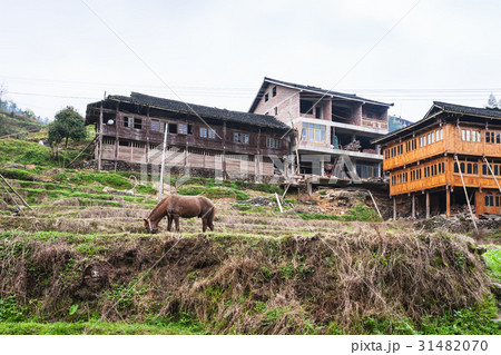 horse on terraced garden and houses in Dazhai horse on terraced garden and houses in Dazhai 31482070