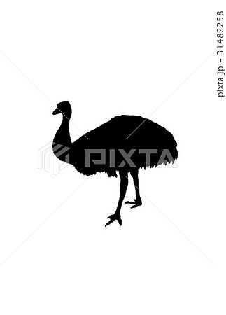 エミュー 31482258