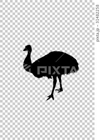 エミュー 31482258