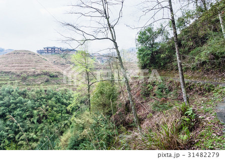 view of houses on terraced hills of Dazhai 31482279